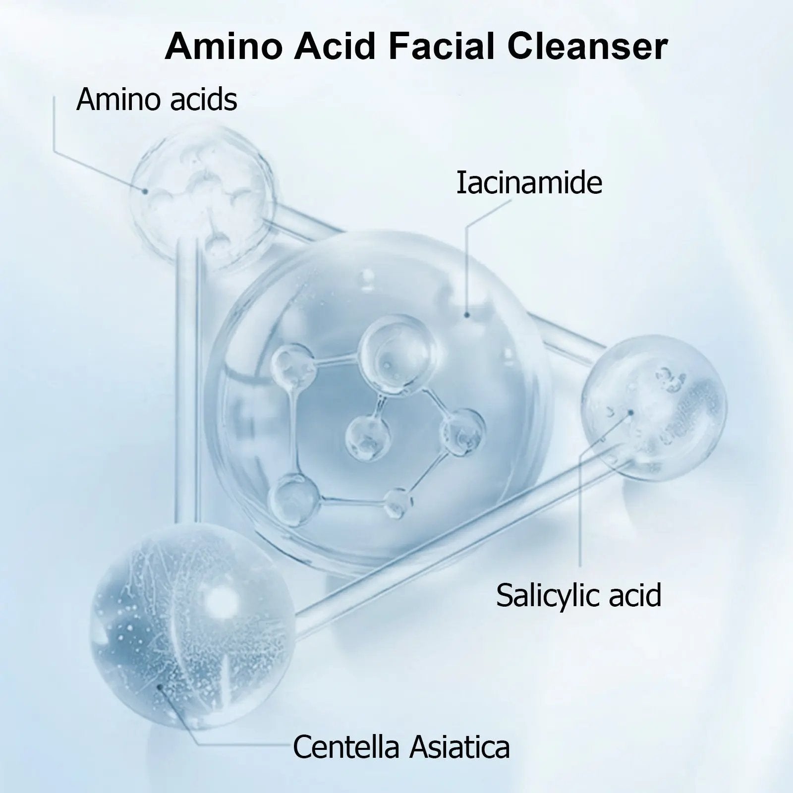 Infographic of amino acid facial cleanser ingredients: amino acids, niacinamide, salicylic acid, and Centella Asiatica.